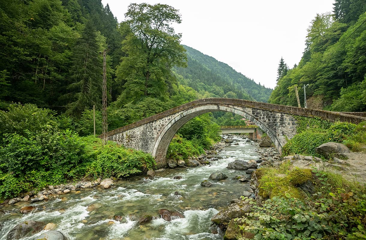 3-Day Botanical Route in the Kaçkar Mountains box 1